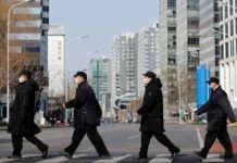 El mundo de la electrónica contra el coronavirus Múisca Electrónica Coronavirus