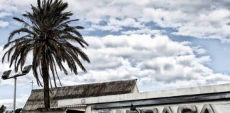 La Ruta del Bakalao y su historia La Ruta del Bakalao