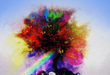 True Colors, el segundo álbum de Zedd
