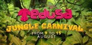 Descubre todos los detalles acerca del Medusa Sunbeach Festival 2017.