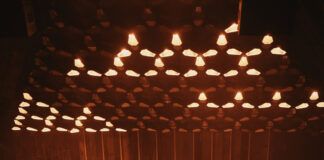 Este domingo en Playa Soleil, Palmarama presenta a Damian Lazarus y lo mejor del talento mexicano