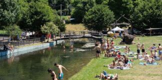 Observatorio Festival 2024 nos teletransportó hacia un bosque encantado, envueltos en un sonido mágico