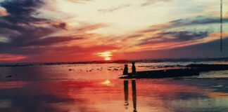 Dub Elements y Maria-Lea nos traen el drum and bass más veraniego con ‘El Sol Cayó’ dub elements maria-lea el sol cayó