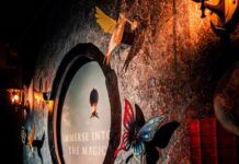 Tomorrowland presenta su experiencia inmersiva en Barcelona con ‘The Great Library of Tomorrow’