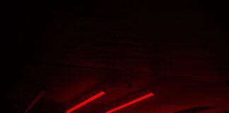 Laster Club cerró Halloween con sold out, mucho groove y grandes actuaciones de MARRØN y Rene Wise