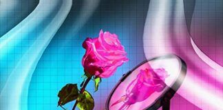 KOKO.IT lanza su EP ‘Lunatica Borghesia’ en Shall Not Fade