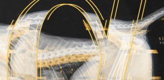 Suara estrena el tercer volumen de ‘Alpha Sides’ suara alpha sides