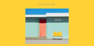 ‘Happy Now’ es el nuevo tema de Zedd, y viene con sorpresa Zedd Happy Now