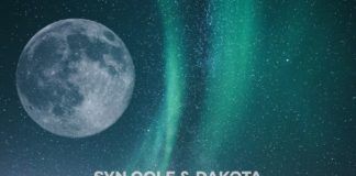 Sander Van Doorn suma y sigue con un remix a ‘Lights Go Down’ Sander Van Doorn Lights Go Down Remix