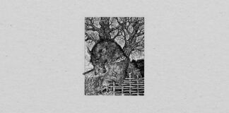 1985 Music, el sello de Alix Perez, presenta su Edition 3 1985 music edition 3