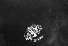 Nau Leone nos cautiva con un original y especial ‘Movimiento’