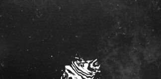 Nau Leone nos cautiva con un original y especial ‘Movimiento’