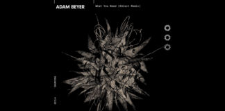 Adam Beyer cede su protagonismo en ‘What You Need (Kölsch Remix)’ What You Need Kölsch Remix