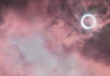 Sub Focus lleva el ‘Easier’ de Camelphat al drum and bass CAMELPHAT EASIER SUB FOCUS