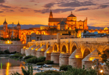 Córdoba Crea Fest 2024: El Nuevo Festival de Música, Arte y Danza Revoluciona la Escena Cultural Cordobesa