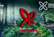 Conoce al primer artista confirmado de Primavera Electrónica 2020 confirmado primavera electrónica 2020