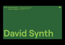 La escena andaluza: David Synth DAVID SYNTH