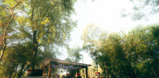 Danza Futura 2026 se postula a ser uno de los festivales techno más interesantes del año