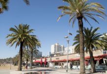 Barcelona ordena el cierre temporal de Pacha, Shôko y Carpe Diem