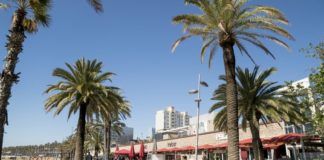 Barcelona ordena el cierre temporal de Pacha, Shôko y Carpe Diem