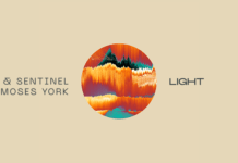 David Pietras y Sentinel crean este ‘Light’ en Protocol David Pietras Sentinel