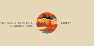 David Pietras y Sentinel crean este ‘Light’ en Protocol David Pietras Sentinel