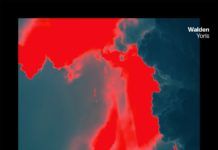 El australiano Walden continúa capitaneando Release Deep con ‘Yoris’ Walden Yoris