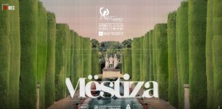 Night Room TV prepara su próximo evento en los Jardines del Alcázar de los Reyes Cristianos night room tv mestiza