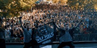 Wild Dogs lanzan ‘Shaki’s Theme’, su nuevo trabajo wild dogs shaki's theme