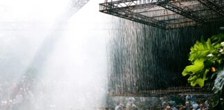 Sin sentido, así es el cartel de Draaimolen Festival 2025