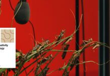 Sónar 2024: Noticias, cartel y entradas