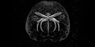 Khramer abre el año en Parallel Depth con su EP ‘Bodied’ KHRAMER BODIED