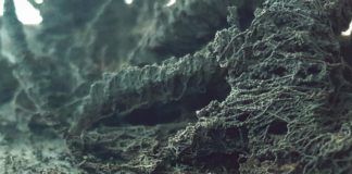 Kursiva lanza remezclas de su álbum ‘Waveform Shapeshifter’