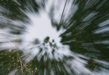 SOUNDIT Festival, esencia club en la naturaleza