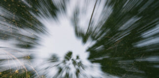 SOUNDIT Festival, esencia club en la naturaleza