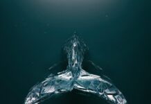 MUZZ nos sumerge en el océano con ‘Somewhere Else’ muzz somewhere else