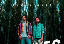 Meganimals lanzan su álbum debut: ‘Perspectives’ Meganimals Perspectives