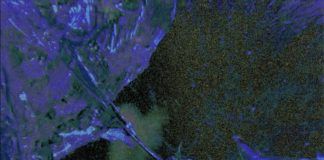 Boombox Cartel presenta su nuevo tema ‘NBD’ Boombox Cartel