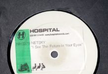 Netsky vuelve a Hospital Records con ‘I See The Future In Your Eyes’ I SEE THE FUTURE IN YOUR EYES