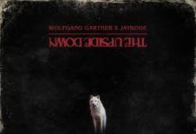 Wolfgang Gartner y Jaykode experimentan con ‘The Upside Down’ Wolfgang Gartner
