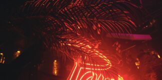 Paradise Opening Party: comienza la fiesta más esperada de Ibiza