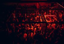 Conejo Loco World, la provocación de bailar enjaulados