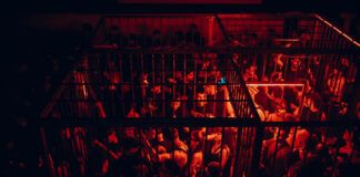 Conejo Loco World, la provocación de bailar enjaulados