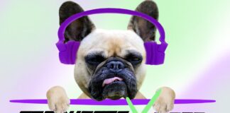 Mbreaks crea el proyecto Producers X Dogs para ayudar a protectoras de animales PRODUCERS X DOGS