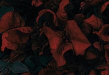 Skylark lanza en Overview su nuevo EP ‘Love & Hate’ SKYLARK LOVE HATE