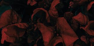 Skylark lanza en Overview su nuevo EP ‘Love & Hate’ SKYLARK LOVE HATE