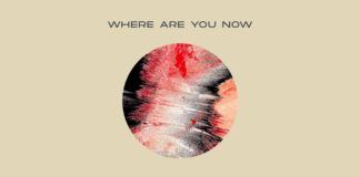 Stadiumx y su nuevo ‘Where Are You Now’ brillan en Protocol Stadiumx Where Are You Now