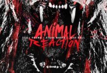 Steve Hartz debuta en SIZE con el regreso de Still Young en ‘Animal Reaction’ Still Young Animal Reaction