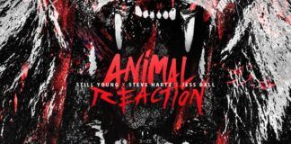 Steve Hartz debuta en SIZE con el regreso de Still Young en ‘Animal Reaction’ Still Young Animal Reaction
