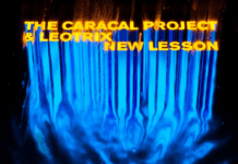 Crossover inesperado: The Caracal Project y Leotrix lanzan ‘New Lesson’ THE CARACAL PROJECT LEOTRIX